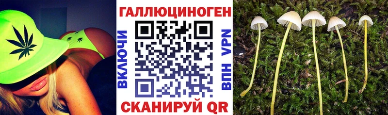 mega tor  Бологое  Галлюциногенные грибы ЛСД  хочу  